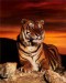 vladca tiger.jpeg